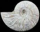 Silver Iridescent Ammonite - Madagascar #51489-1